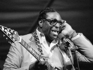 Albert King picture, image, poster